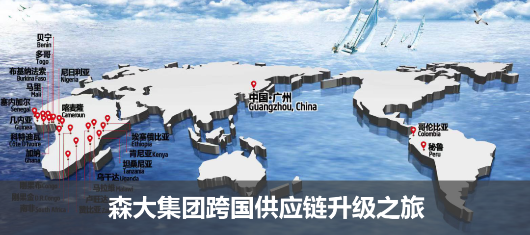 森大集團跨國供應(yīng)鏈升級之旅