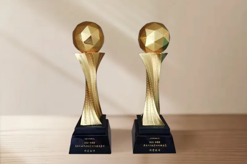 年度十大優(yōu)秀WMS服務(wù)商-獎杯